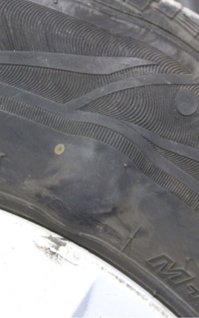 작은 볼록 부위